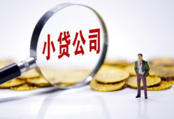 成都21个人借贷-成都21小额贷款官网-成都21身份证贷款